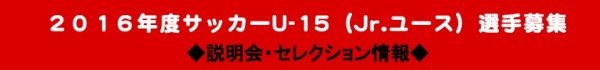 デールさいたまU-15選手募集