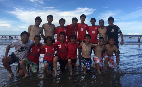 海