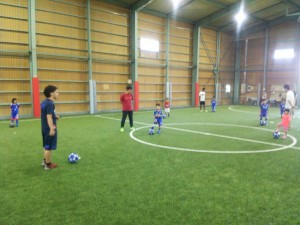 IMG_2035 IMG_2035