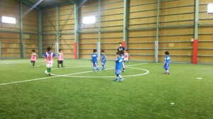 IMG_2146 IMG_2146