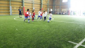 IMG_2158 IMG_2158