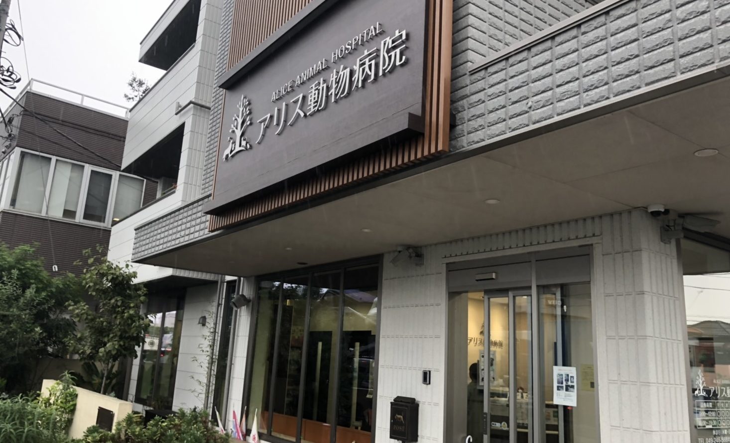 アリス動物病院（埼玉）とのスポンサー契約締結のお知らせ